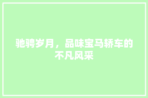 驰骋岁月，品味宝马轿车的不凡风采
