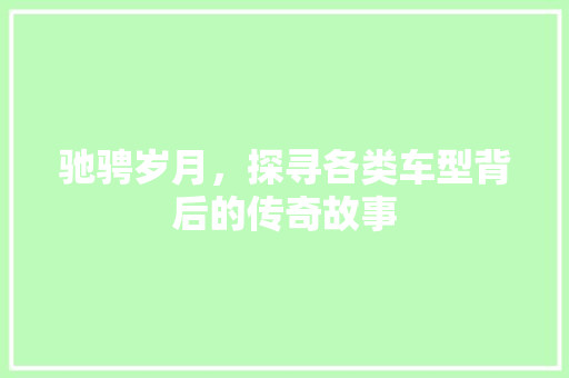 驰骋岁月，探寻各类车型背后的传奇故事