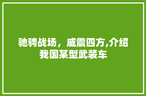 驰骋战场，威震四方,介绍我国某型武装车