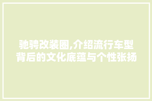 驰骋改装圈,介绍流行车型背后的文化底蕴与个性张扬 车身配件