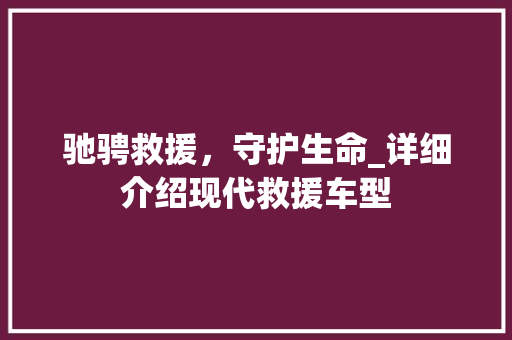 驰骋救援，守护生命_详细介绍现代救援车型 车灯配件