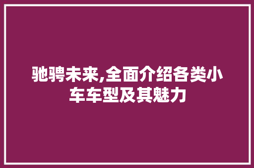 驰骋未来,全面介绍各类小车车型及其魅力