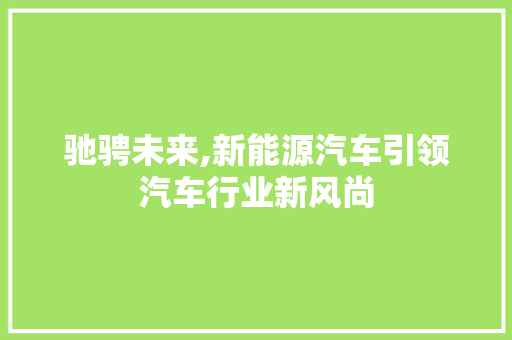 驰骋未来,新能源汽车引领汽车行业新风尚