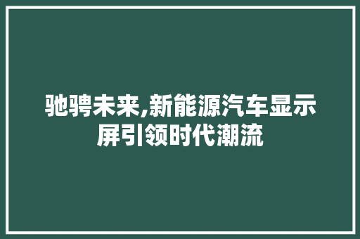 驰骋未来,新能源汽车显示屏引领时代潮流