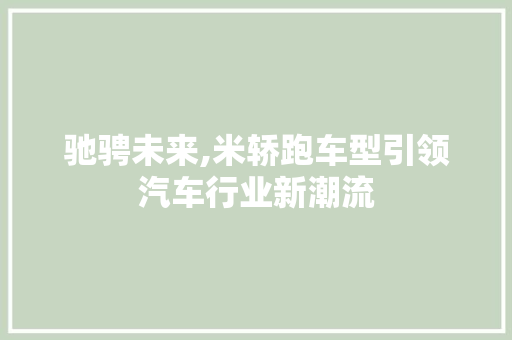 驰骋未来,米轿跑车型引领汽车行业新潮流 新款车型