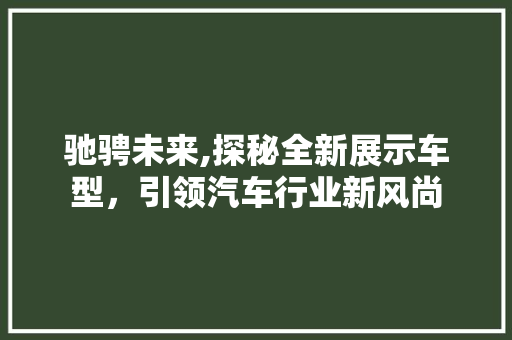 驰骋未来,探秘全新展示车型，引领汽车行业新风尚