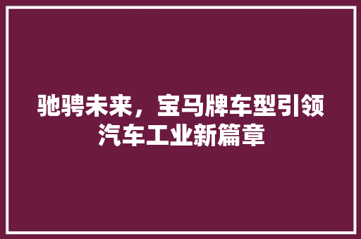 驰骋未来，宝马牌车型引领汽车工业新篇章