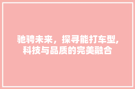 驰骋未来，探寻能打车型,科技与品质的完美融合