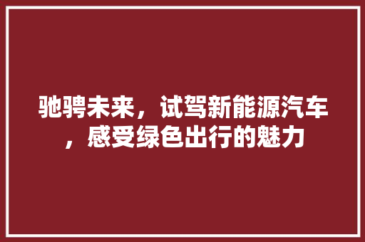 驰骋未来，试驾新能源汽车，感受绿色出行的魅力