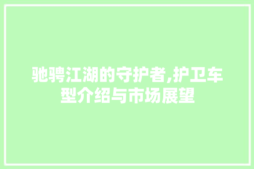 驰骋江湖的守护者,护卫车型介绍与市场展望