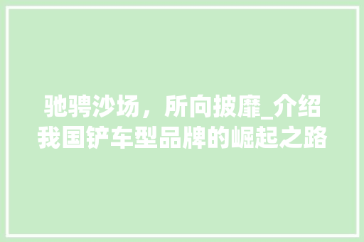驰骋沙场，所向披靡_介绍我国铲车型品牌的崛起之路