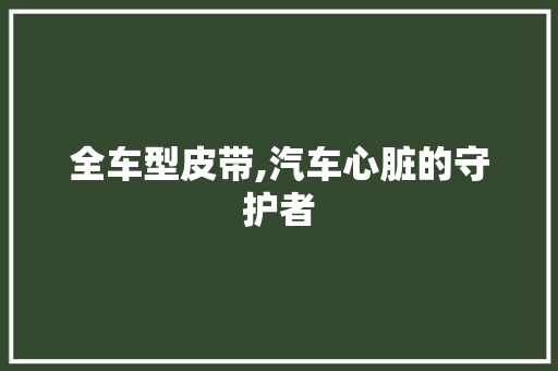 全车型皮带,汽车心脏的守护者