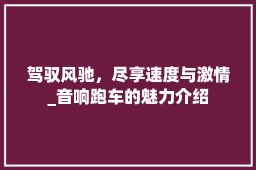 驾驭风驰，尽享速度与激情_音响跑车的魅力介绍