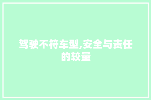 驾驶不符车型,安全与责任的较量