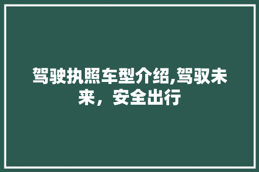 驾驶执照车型介绍,驾驭未来，安全出行