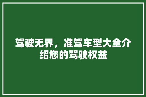 驾驶无界，准驾车型大全介绍您的驾驶权益