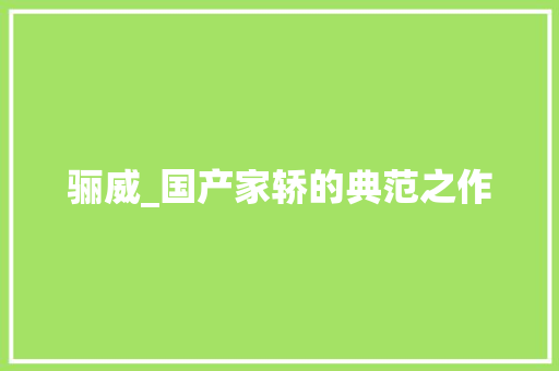 骊威_国产家轿的典范之作