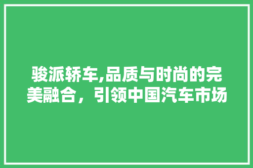 骏派轿车,品质与时尚的完美融合，引领中国汽车市场新潮流