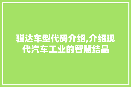 骐达车型代码介绍,介绍现代汽车工业的智慧结晶