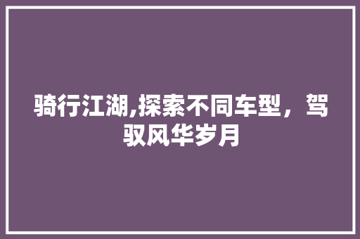 骑行江湖,探索不同车型，驾驭风华岁月