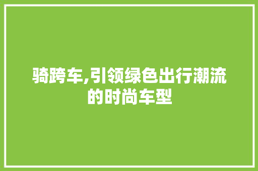 骑跨车,引领绿色出行潮流的时尚车型