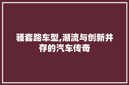 骚套路车型,潮流与创新并存的汽车传奇