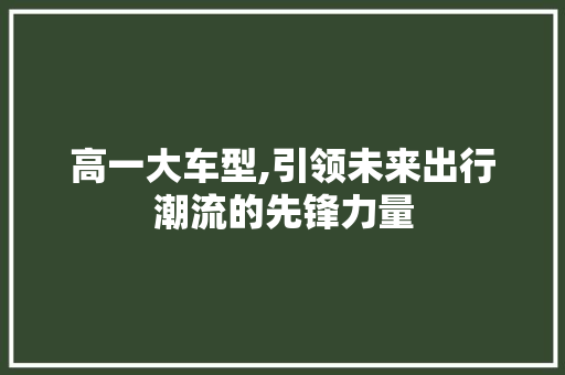 高一大车型,引领未来出行潮流的先锋力量