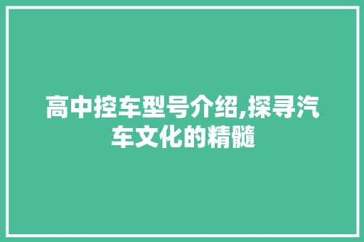 高中控车型号介绍,探寻汽车文化的精髓