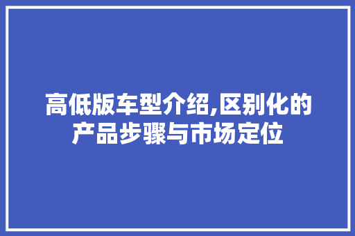 高低版车型介绍,区别化的产品步骤与市场定位