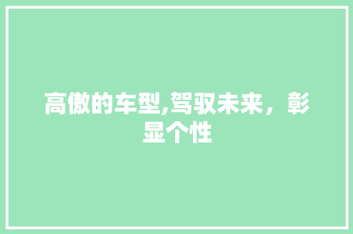 高傲的车型,驾驭未来，彰显个性
