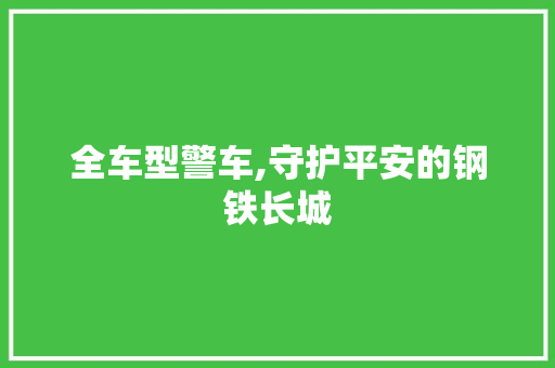 全车型警车,守护平安的钢铁长城