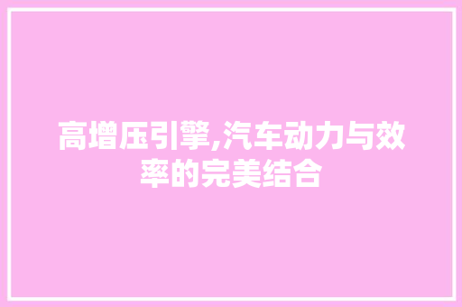 高增压引擎,汽车动力与效率的完美结合