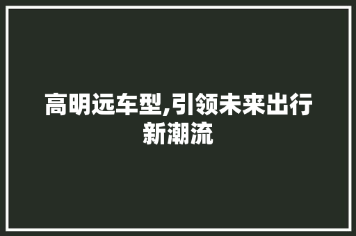 高明远车型,引领未来出行新潮流