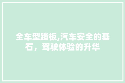 全车型踏板,汽车安全的基石，驾驶体验的升华