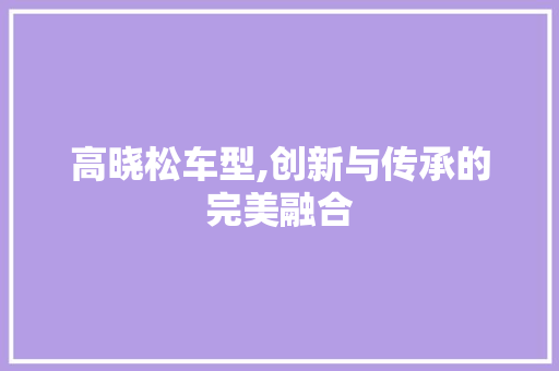 高晓松车型,创新与传承的完美融合