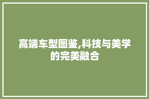 高端车型图鉴,科技与美学的完美融合