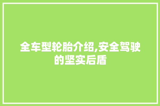 全车型轮胎介绍,安全驾驶的坚实后盾 汽车配件