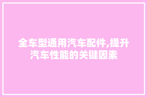 全车型通用汽车配件,提升汽车性能的关键因素 蓄电池配件