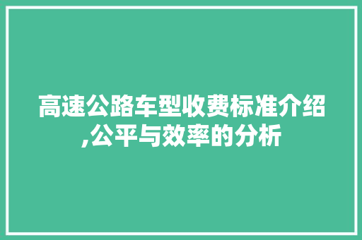 高速公路车型收费标准介绍,公平与效率的分析