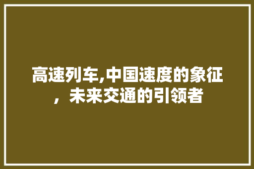 高速列车,中国速度的象征，未来交通的引领者