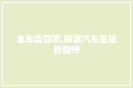 全车型音响,唤醒汽车生活新旋律