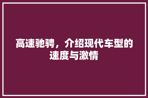 高速驰骋，介绍现代车型的速度与激情