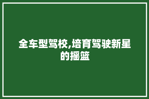 全车型驾校,培育驾驶新星的摇篮