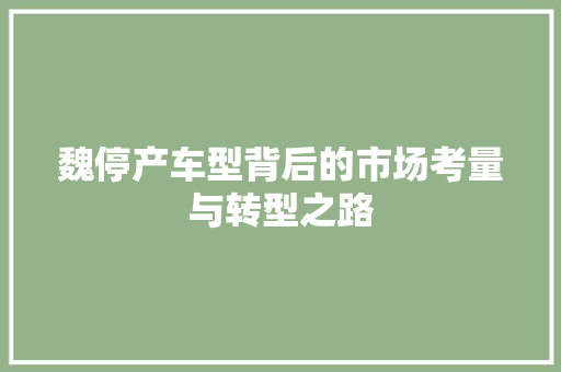 魏停产车型背后的市场考量与转型之路