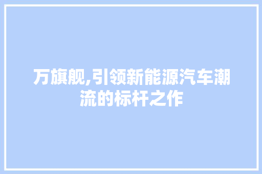 万旗舰,引领新能源汽车潮流的标杆之作