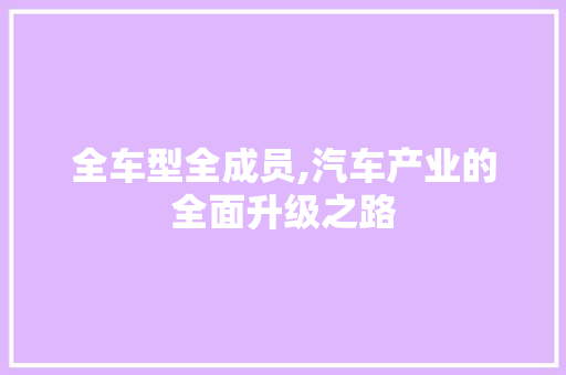 全车型全成员,汽车产业的全面升级之路