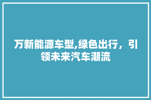 万新能源车型,绿色出行，引领未来汽车潮流