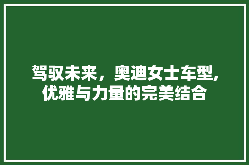 驾驭未来，奥迪女士车型,优雅与力量的完美结合