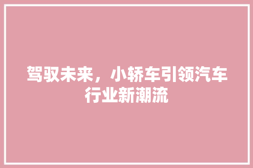 驾驭未来，小轿车引领汽车行业新潮流