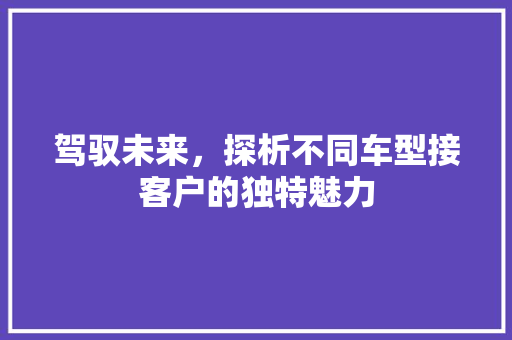 驾驭未来，探析不同车型接客户的独特魅力